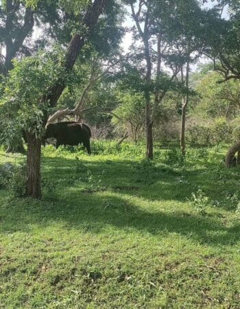 photo_2022-08-19_15-12-11