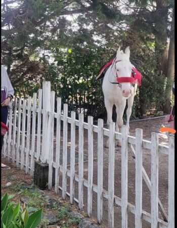 photo_2022-08-19_15-12-16